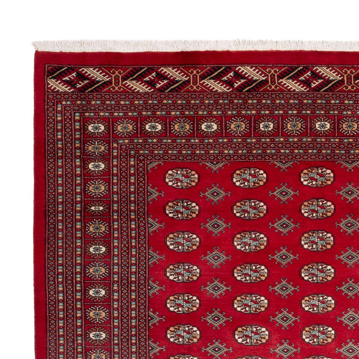 Tappeto afgano - Bukhara - 354 x 275 cm - rosso