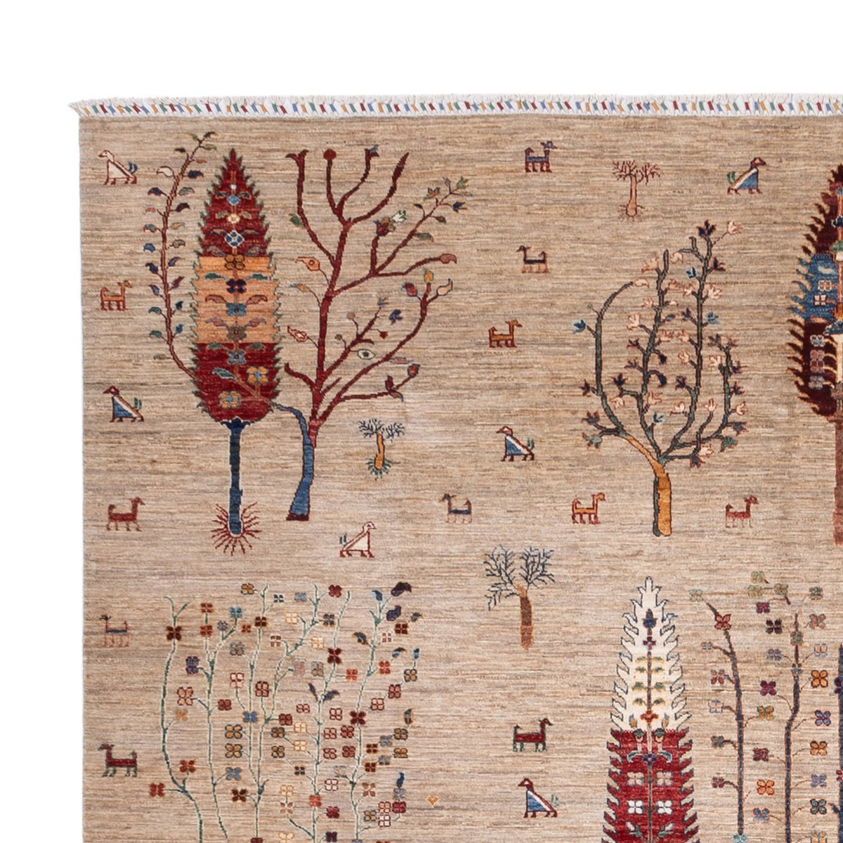 Tappeto Ziegler - Ariana - 392 x 292 cm - beige