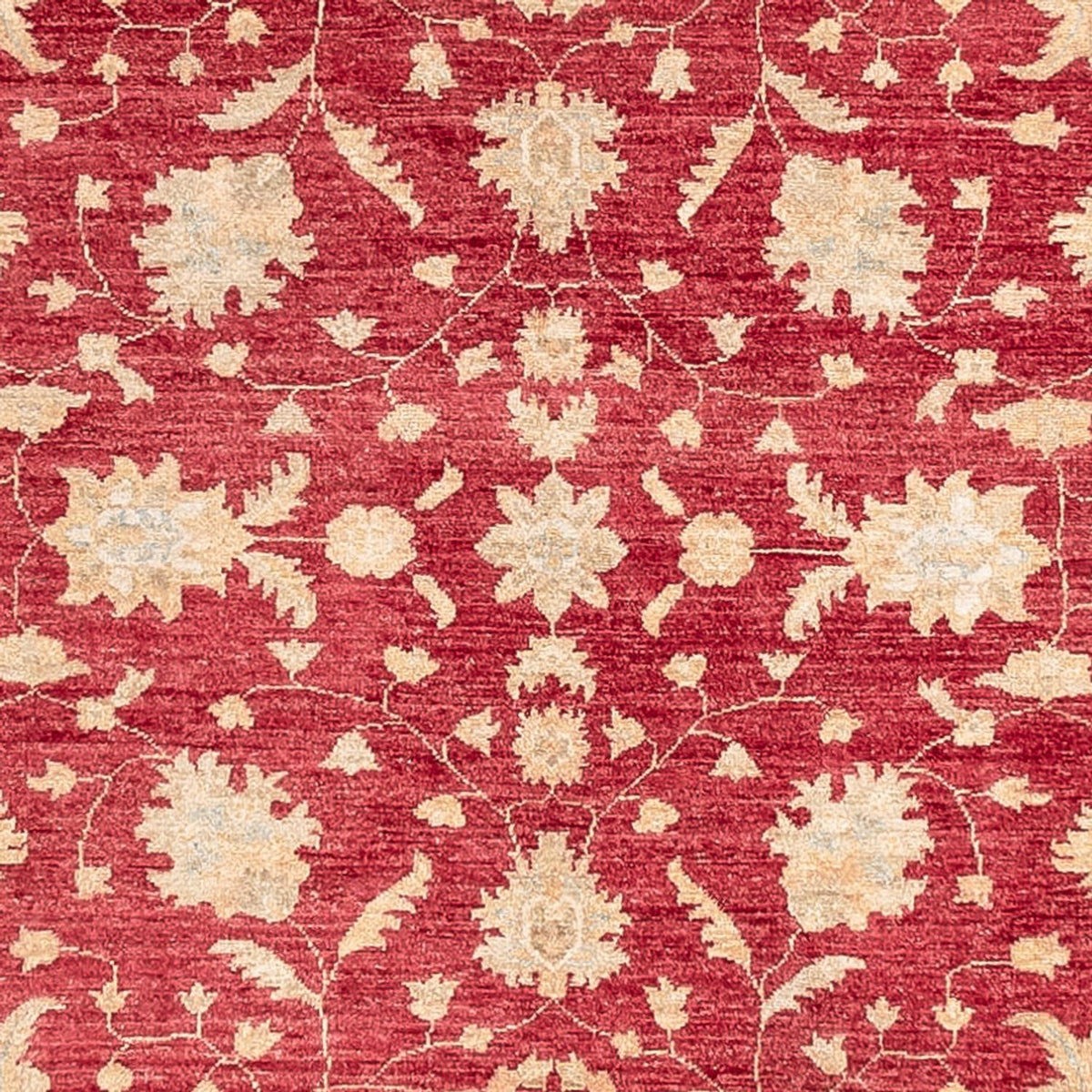Tappeto corsia Tappeto Ziegler - 402 x 152 cm - rosso