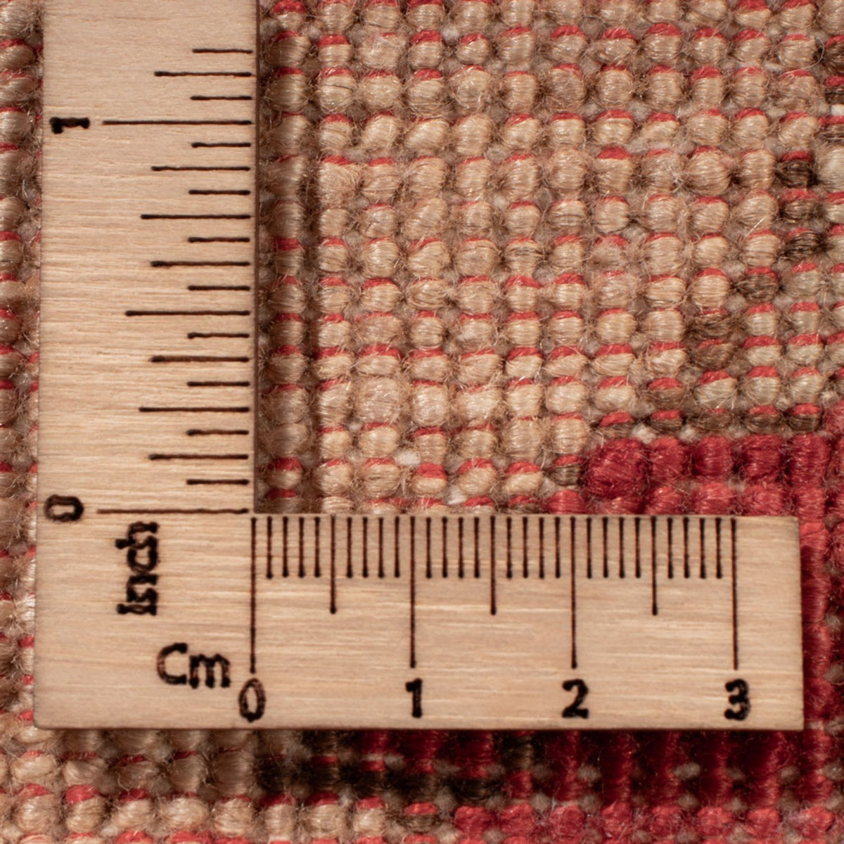 Tappeto Ziegler - Ariana - 303 x 209 cm - beige