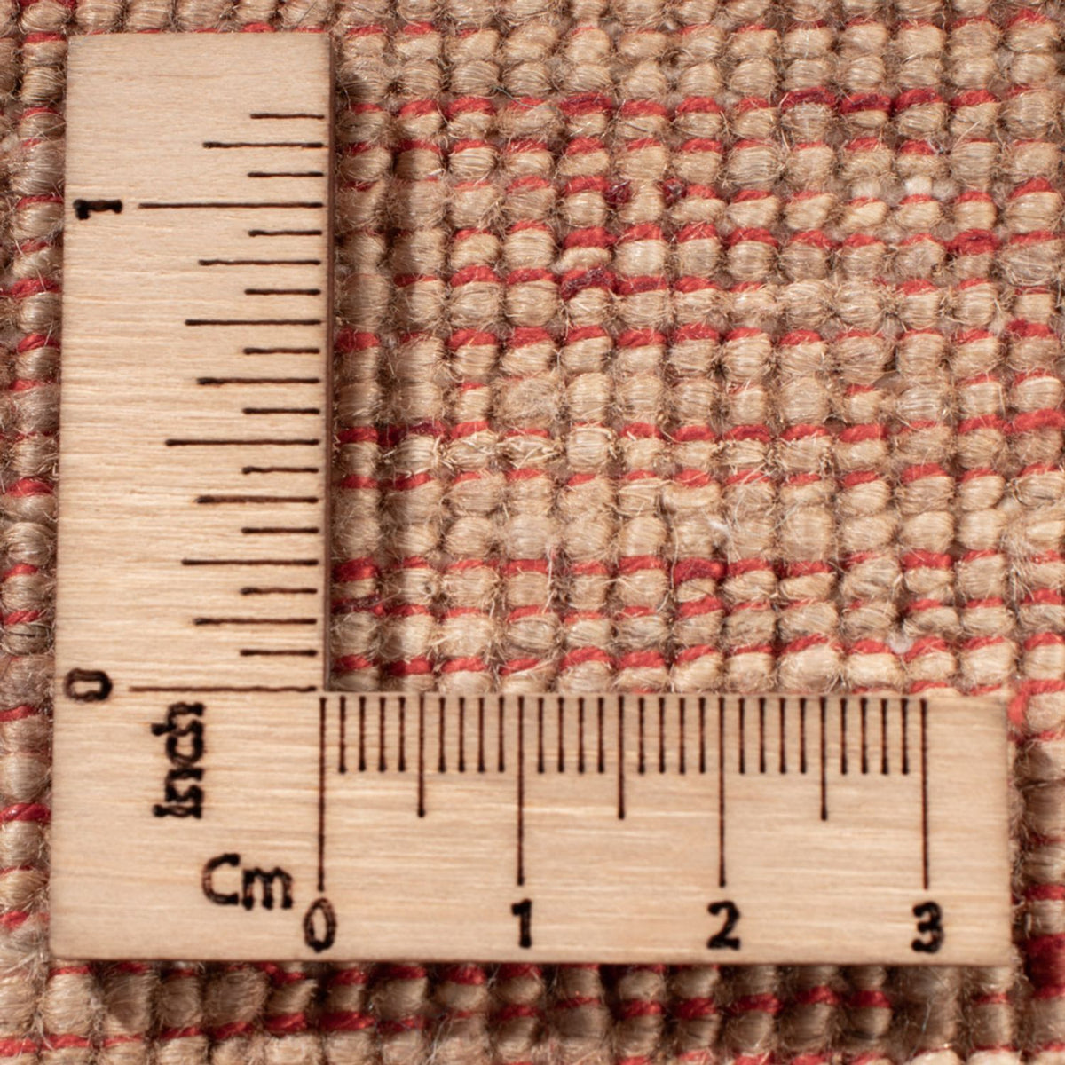 Tappeto Ziegler - Ariana - 298 x 248 cm - beige