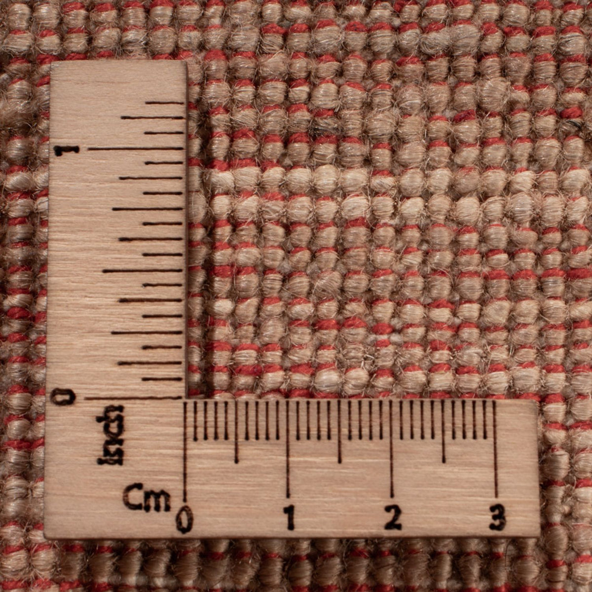 Tappeto Ziegler - Ariana - 370 x 273 cm - beige