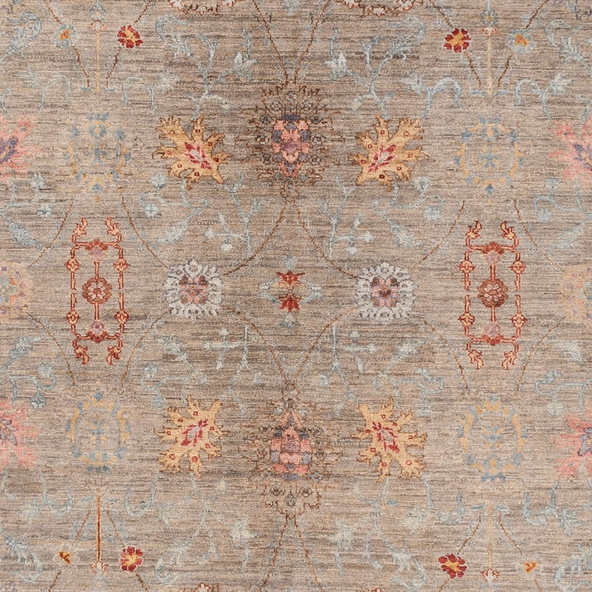 Tappeto Ziegler - Ariana - 376 x 270 cm - beige scuro