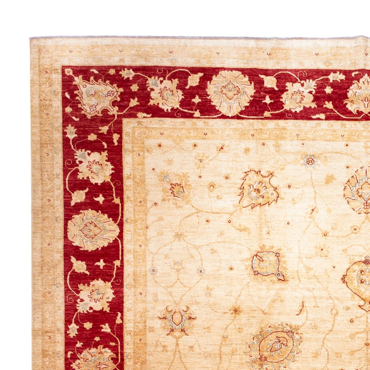 Tappeto Ziegler - 584 x 394 cm - beige