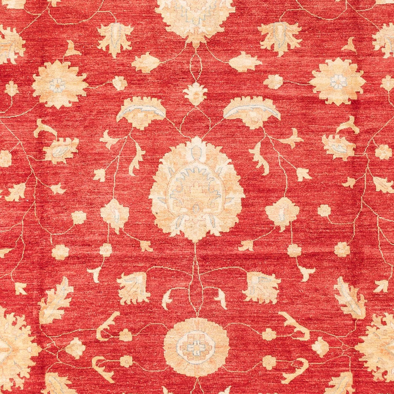 Tappeto Ziegler - 686 x 402 cm - rosso