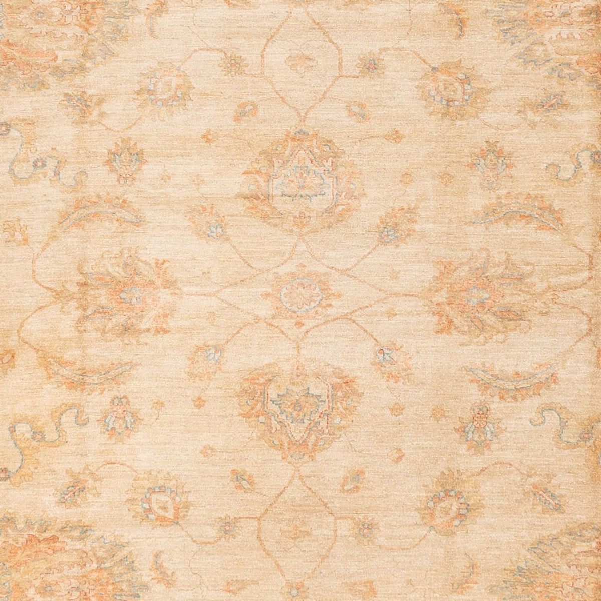 Tappeto Ziegler - 585 x 396 cm - beige