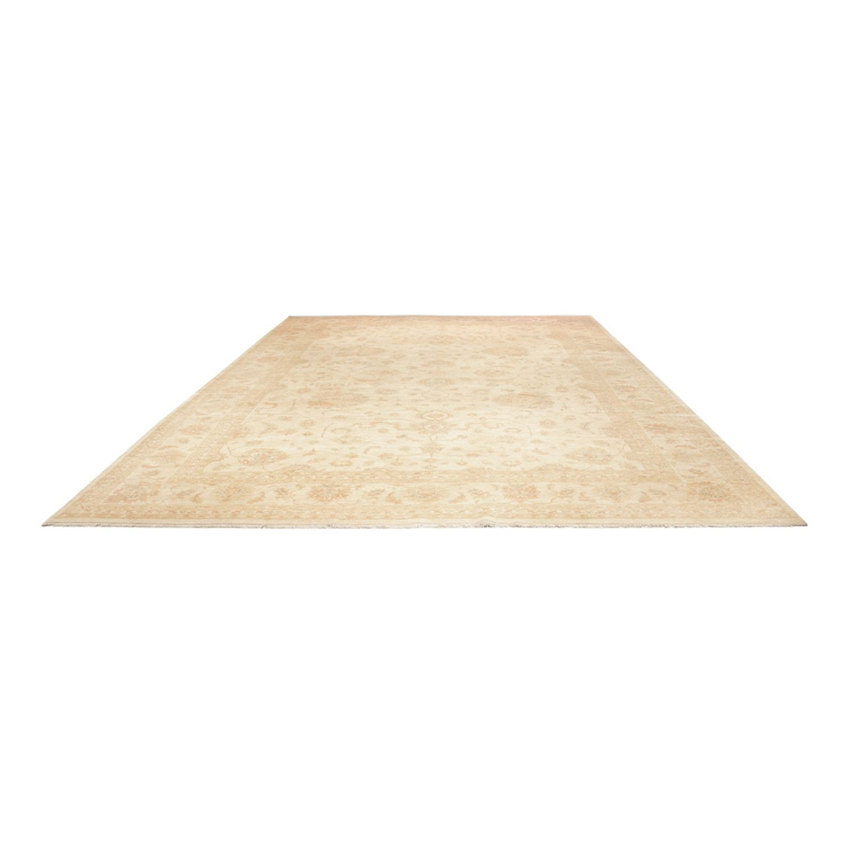 Tappeto Ziegler - 585 x 396 cm - beige