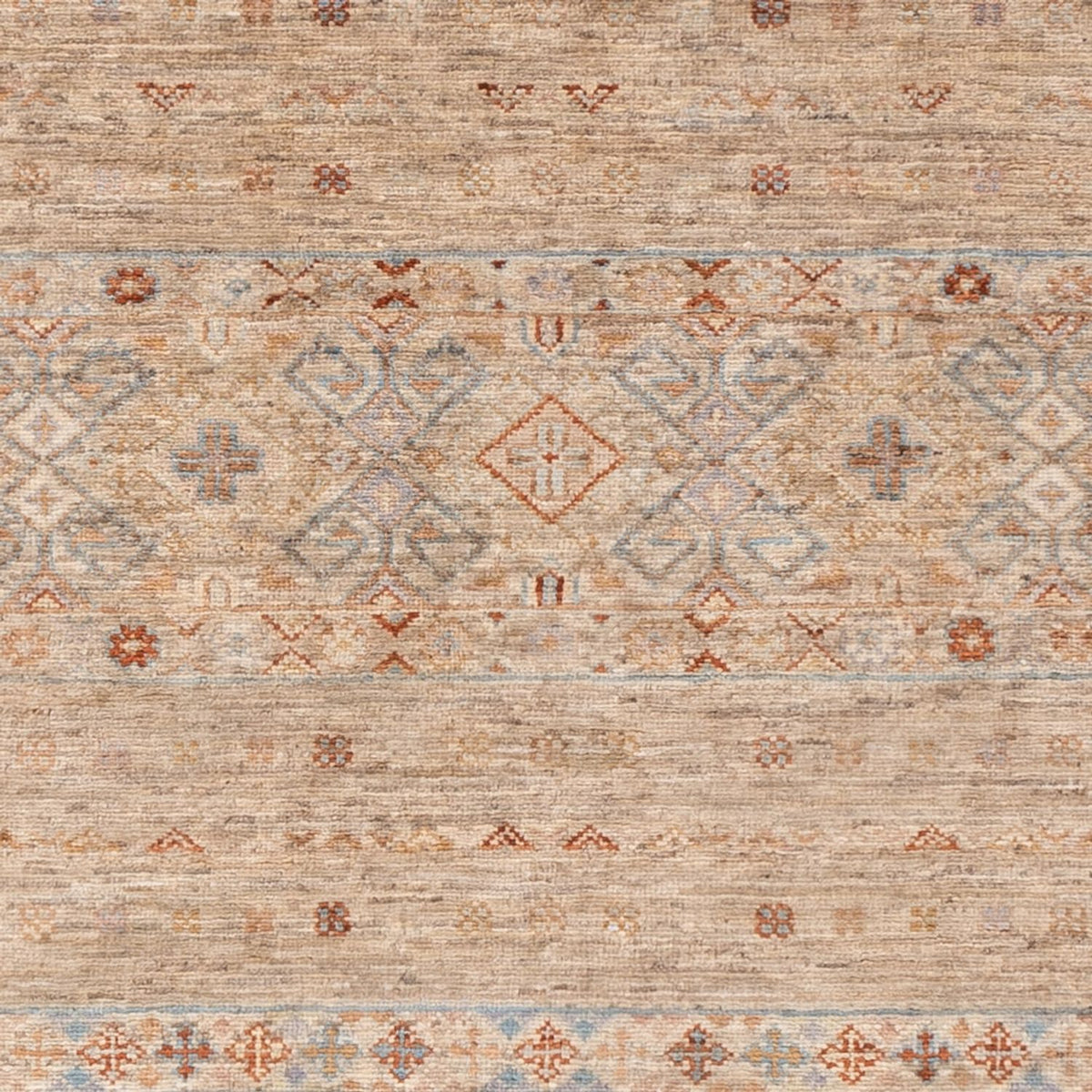 Tappeto Ziegler - Ariana - 208 x 150 cm - beige