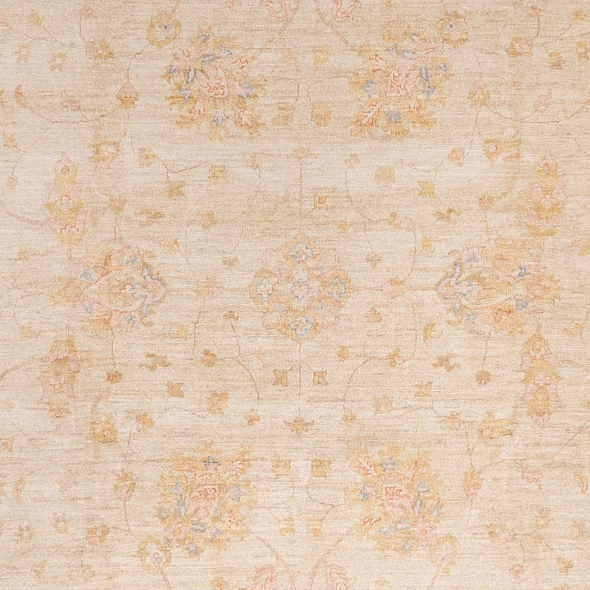 Tappeto Ziegler - 494 x 301 cm - beige