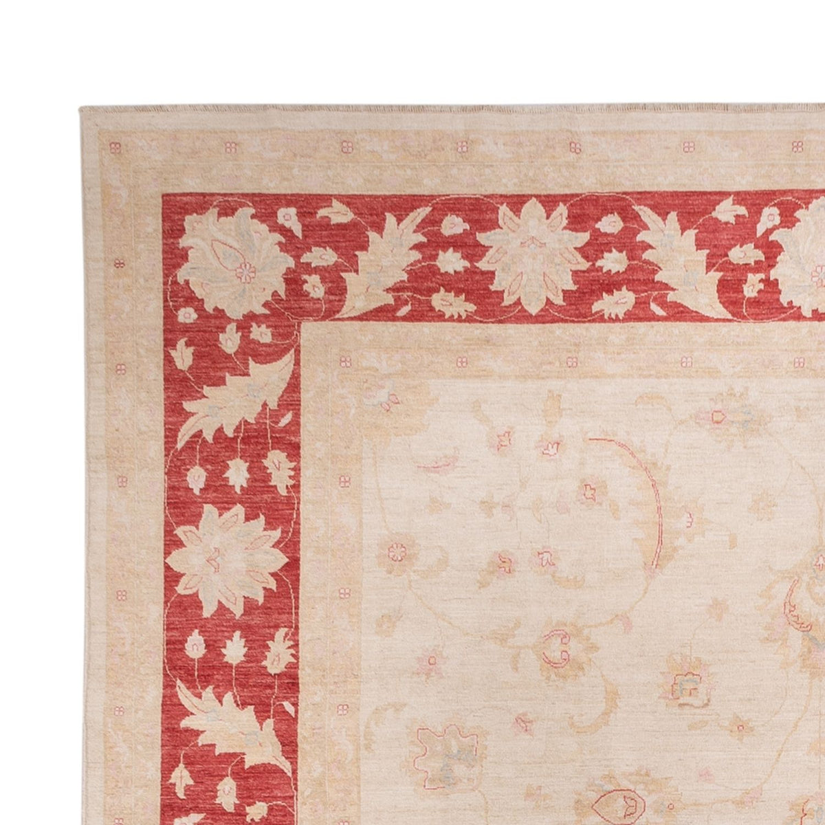 Tappeto Ziegler - 538 x 350 cm - beige