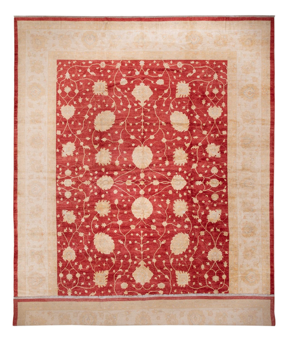 Tappeto Ziegler - 521 x 400 cm - beige