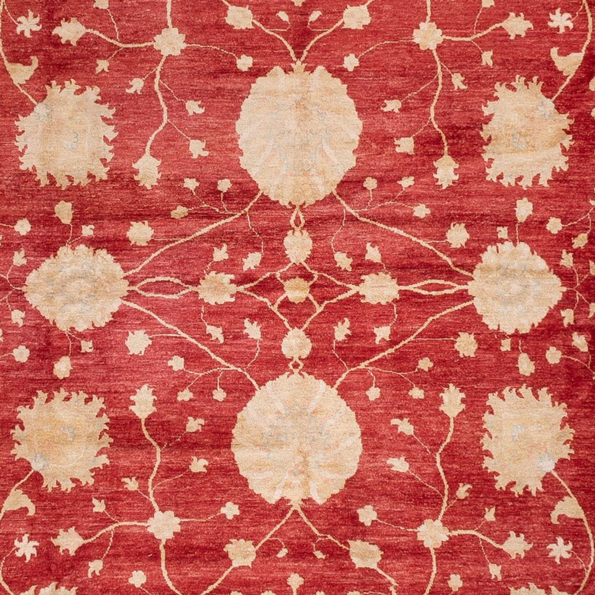 Tappeto Ziegler - 521 x 400 cm - beige