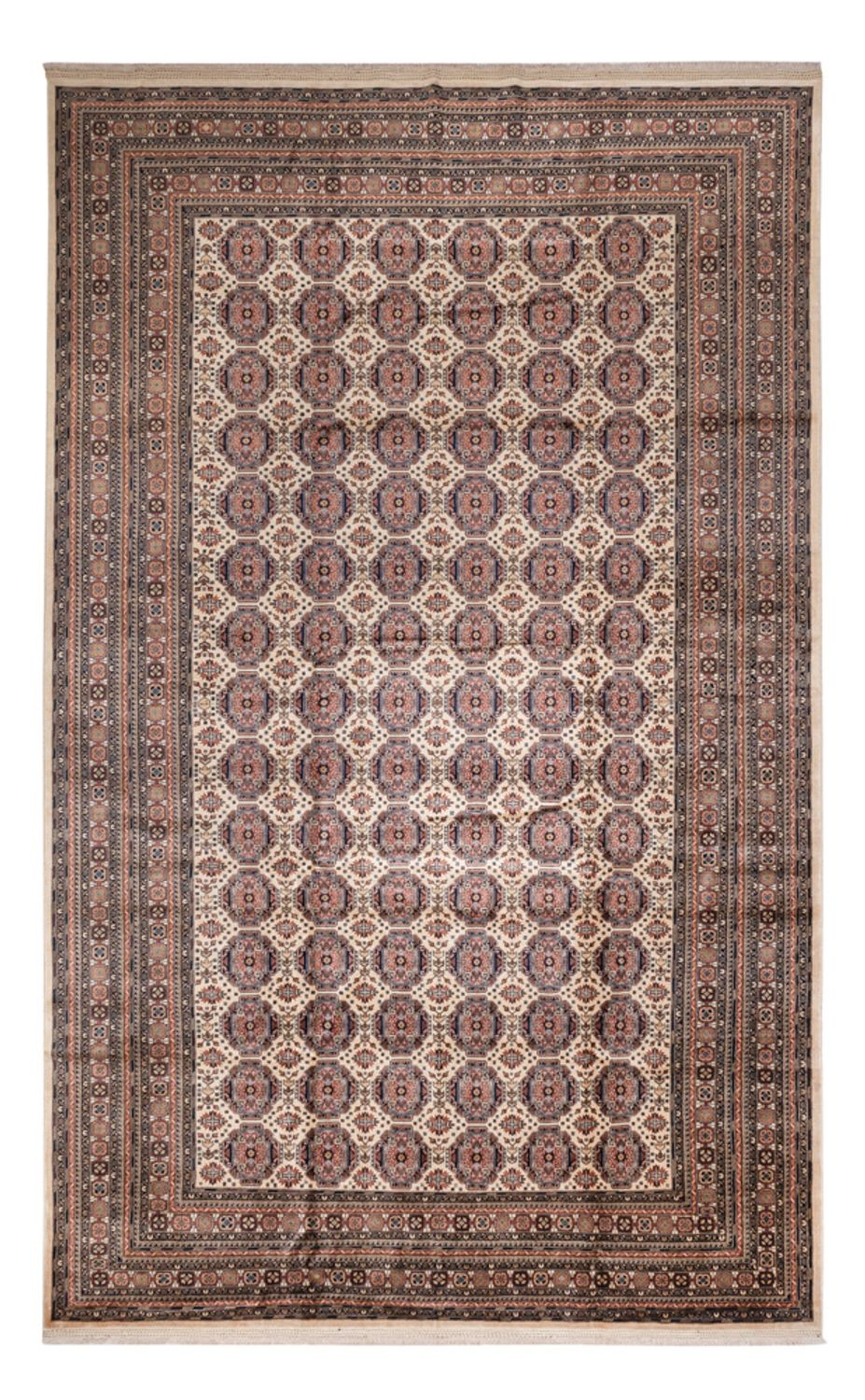 Tappeto afgano - 492 x 303 cm - beige scuro
