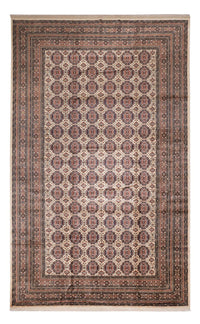 Tappeto afgano - 492 x 303 cm - beige scuro