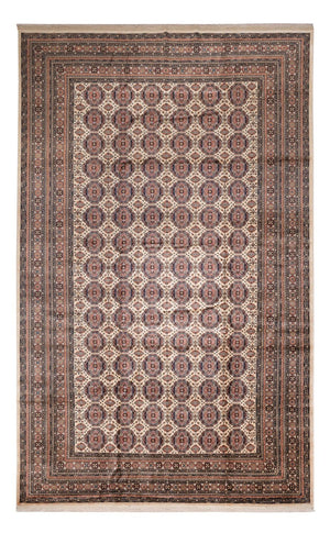 Tappeto afgano - 492 x 303 cm - beige scuro