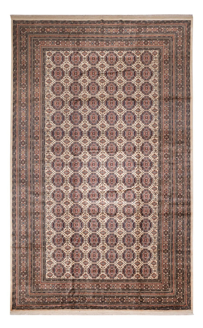 Tappeto afgano - 492 x 303 cm - beige scuro