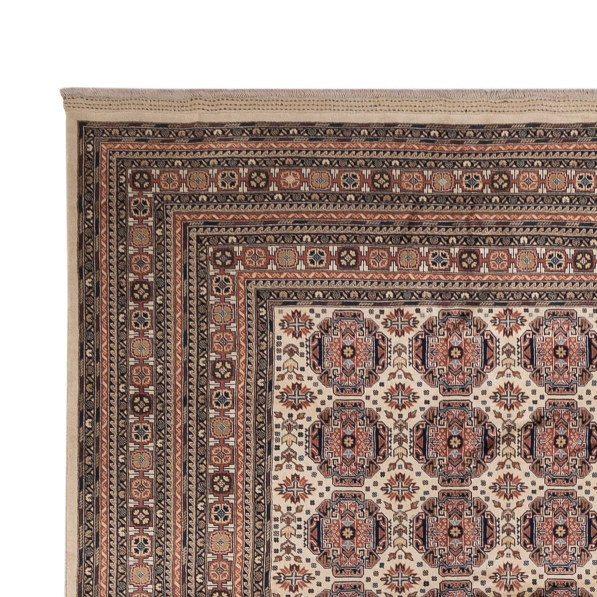 Tappeto afgano - 492 x 303 cm - beige scuro