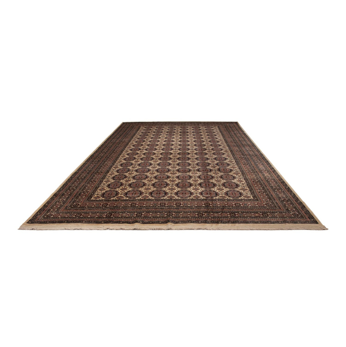 Tappeto afgano - 492 x 303 cm - beige scuro