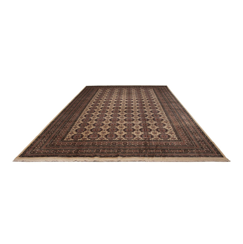 Tappeto afgano - 492 x 303 cm - beige scuro