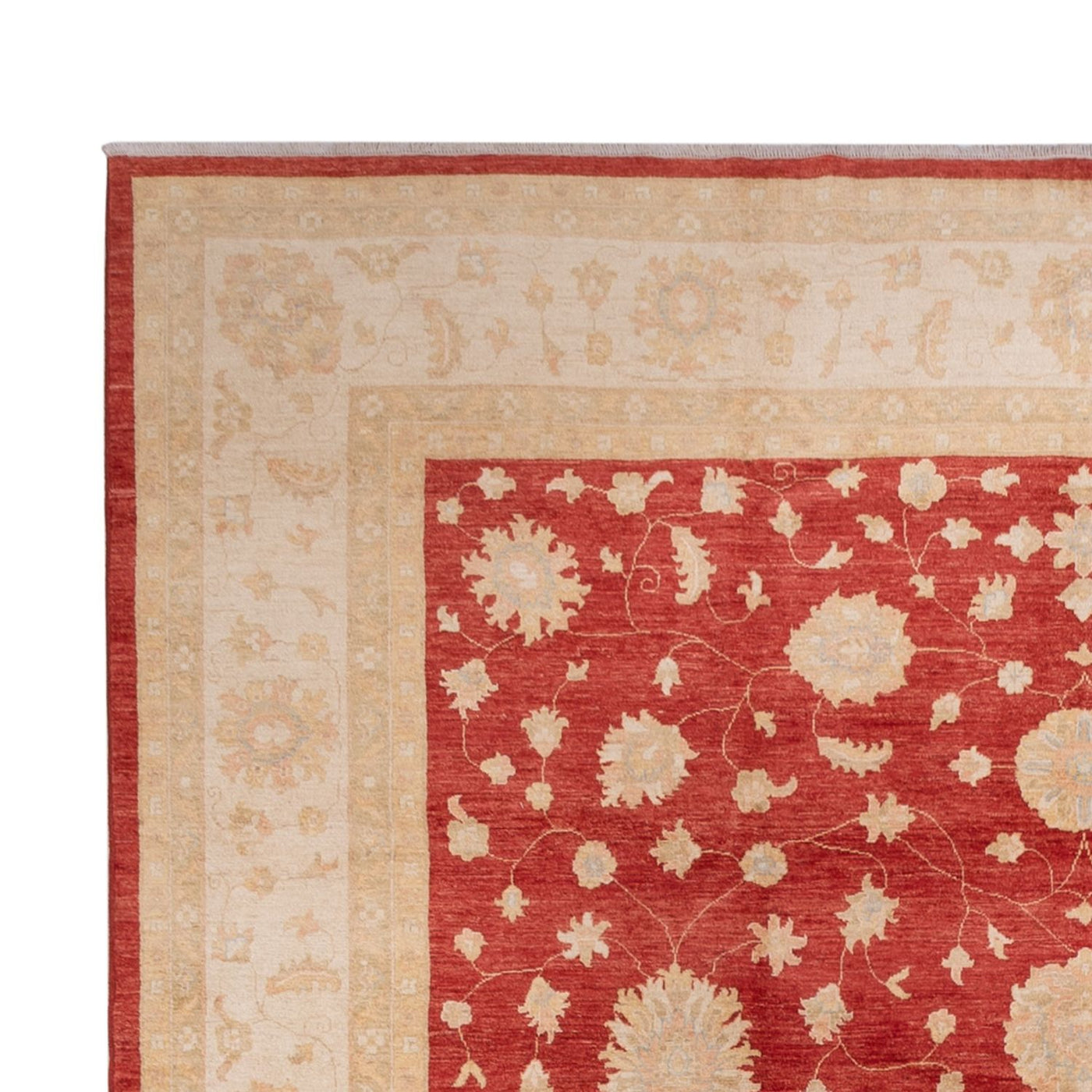 Tappeto Ziegler 496x362cm - Tappeto orientale