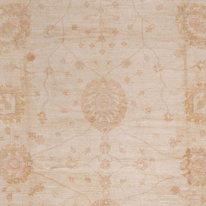 Tappeto Ziegler - 543 x 350 cm - beige