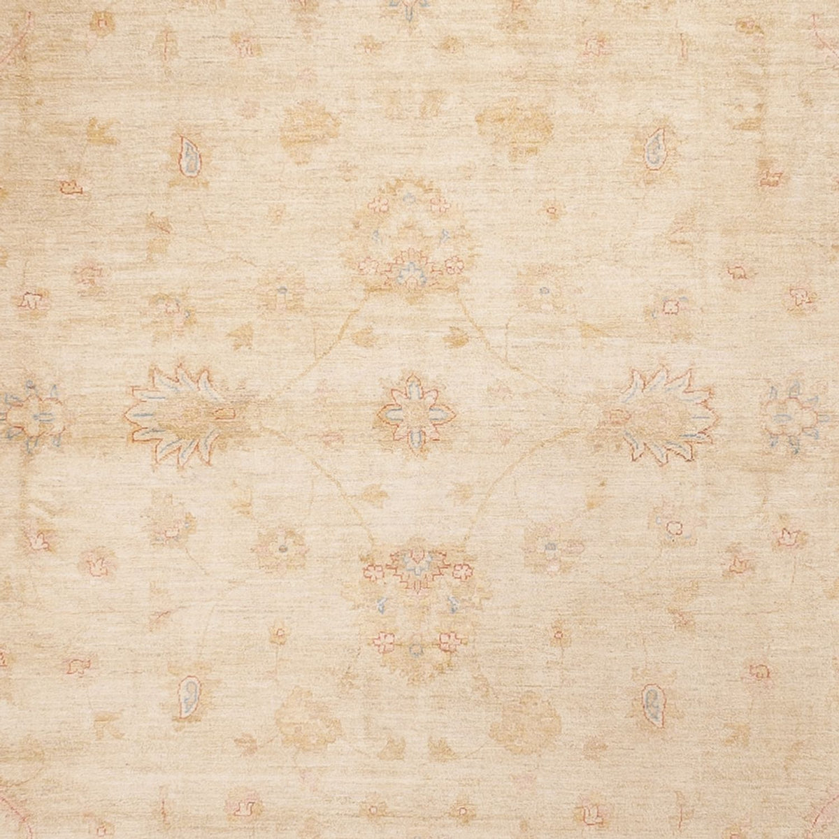 Tappeto Ziegler - 488 x 398 cm - beige