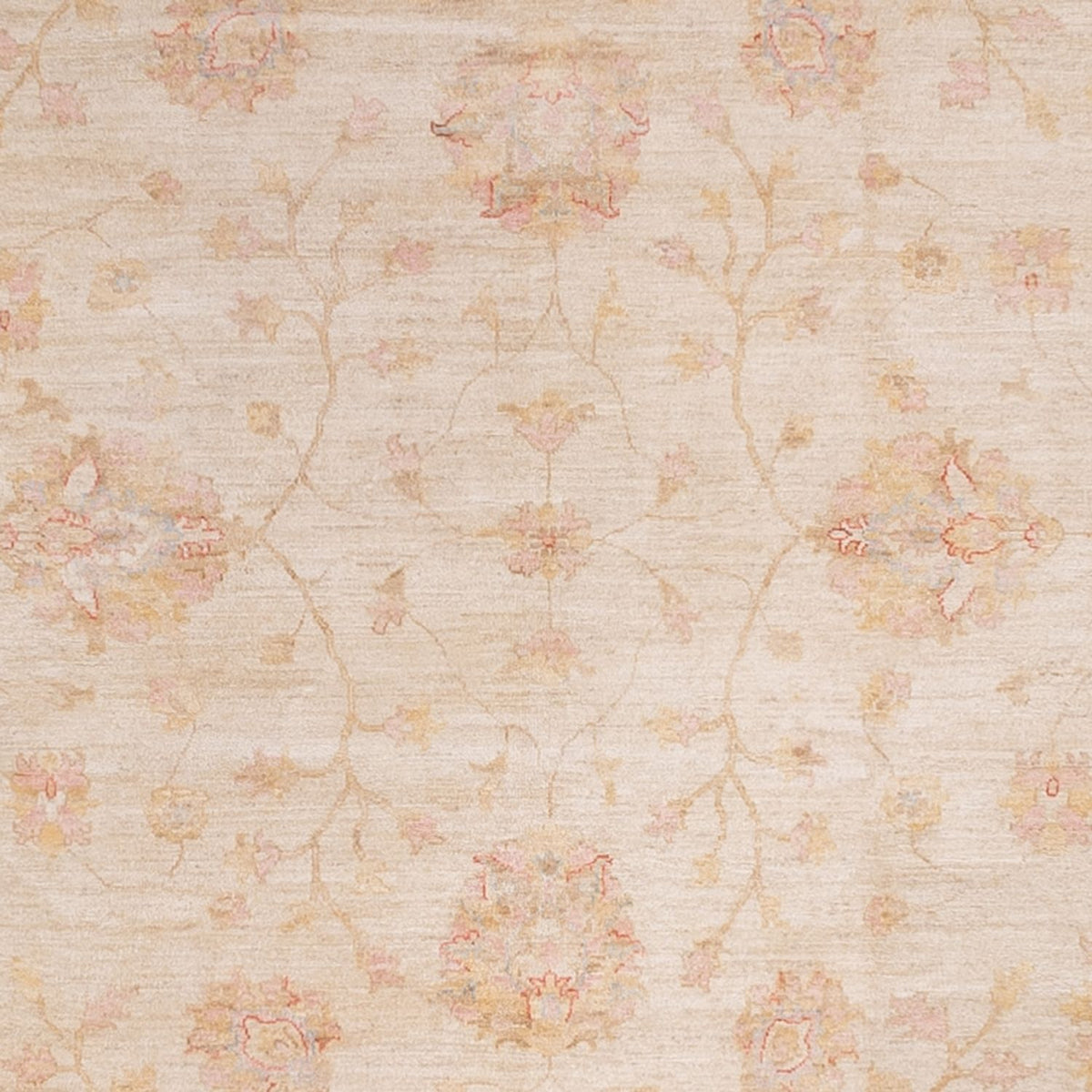 Tappeto Ziegler quadrato  - 393 x 398 cm - beige
