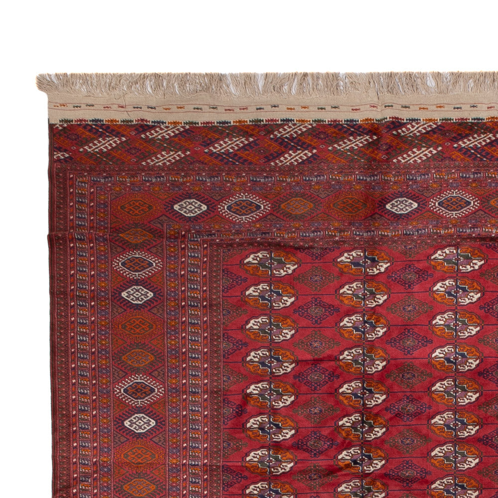 Bukhara Tappeto 505x308cm - Tappeto orientale
