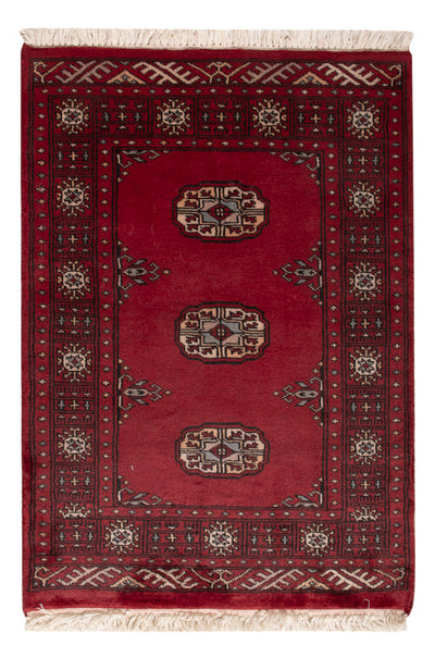 Tappeto Pakistani 64x88cm - Tappeto orientale
