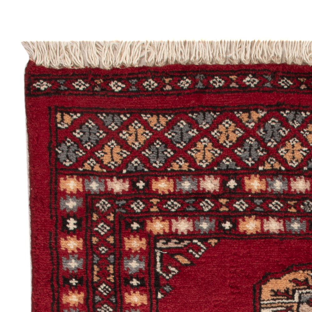 Tappeto Pakistani 60x88cm - Tappeto orientale