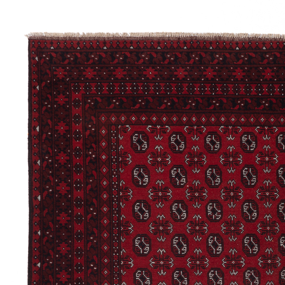 Akhche Tappeto 302x245cm - Tappeto orientale