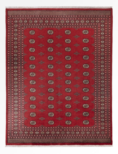 Tappeto Pakistani 251x331cm - Tappeto orientale