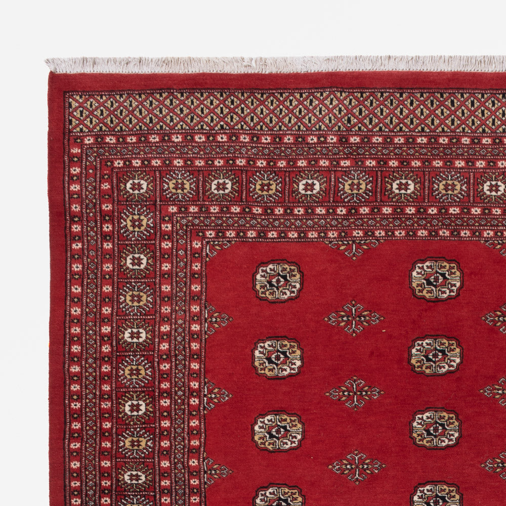 Tappeto Pakistani 251x331cm - Tappeto orientale
