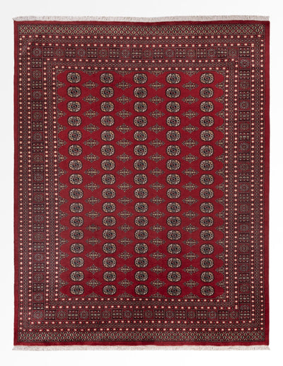 Tappeto Pakistani 248x318cm - Tappeto orientale