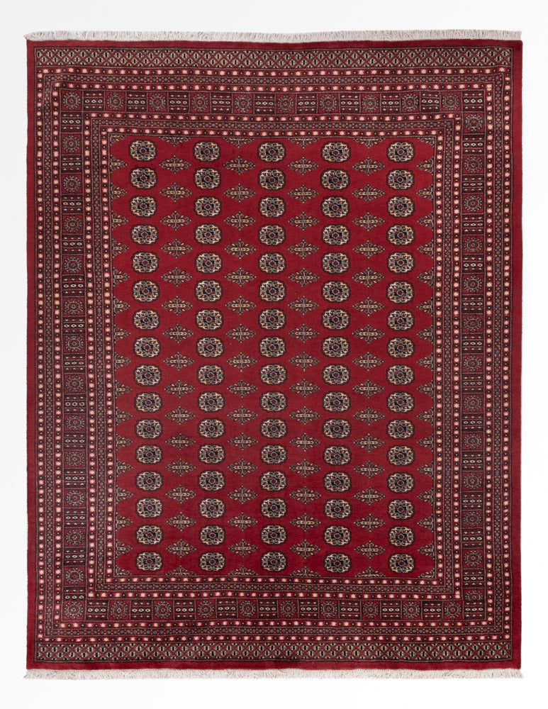 Pakistan Teppich - 318 x 248 cm - rot