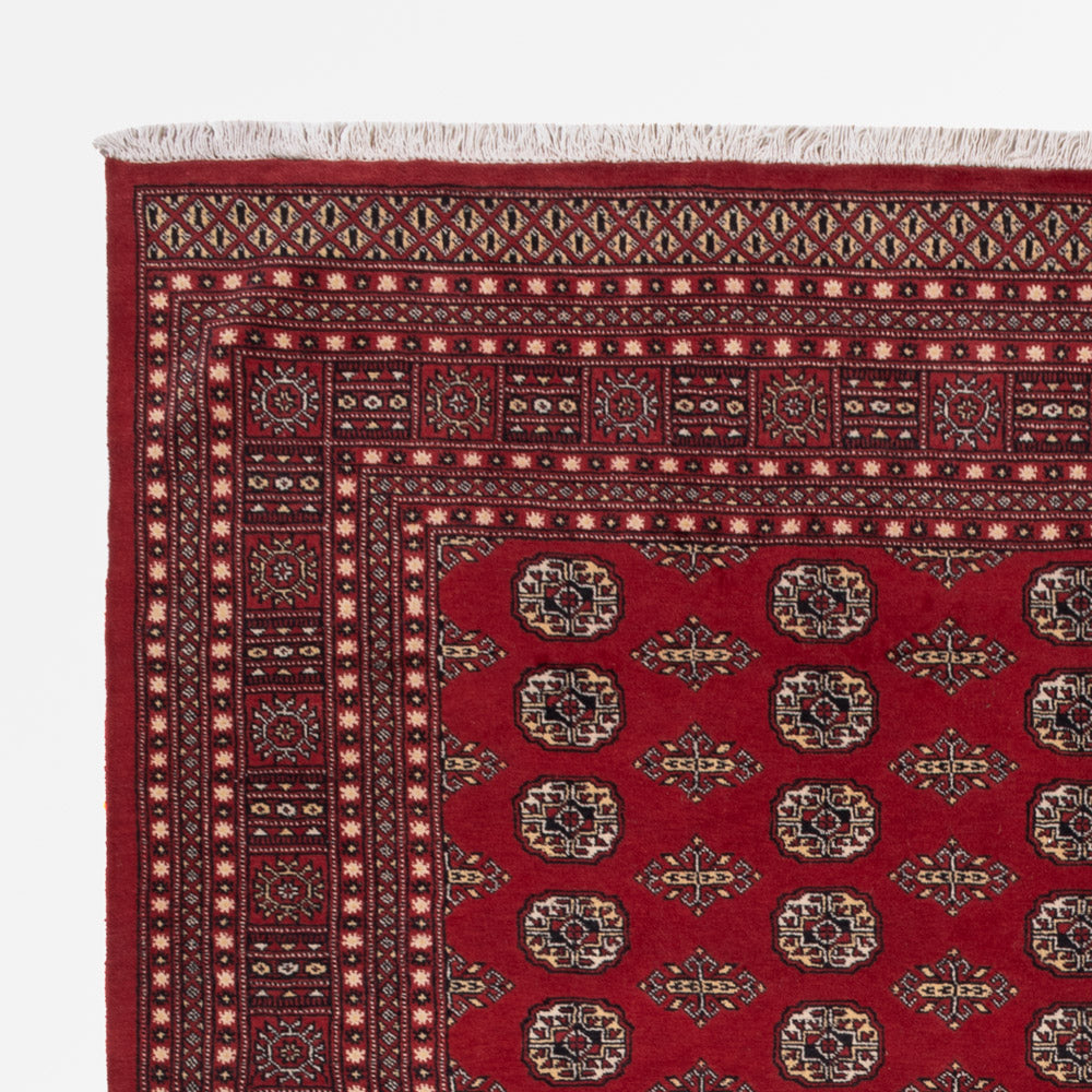 Tappeto Pakistani 318x248cm - Tappeto orientale