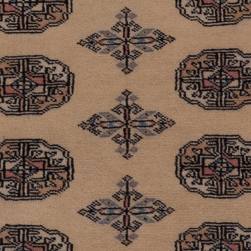 Tappeto Pakistani - 152 x 97 cm - beige