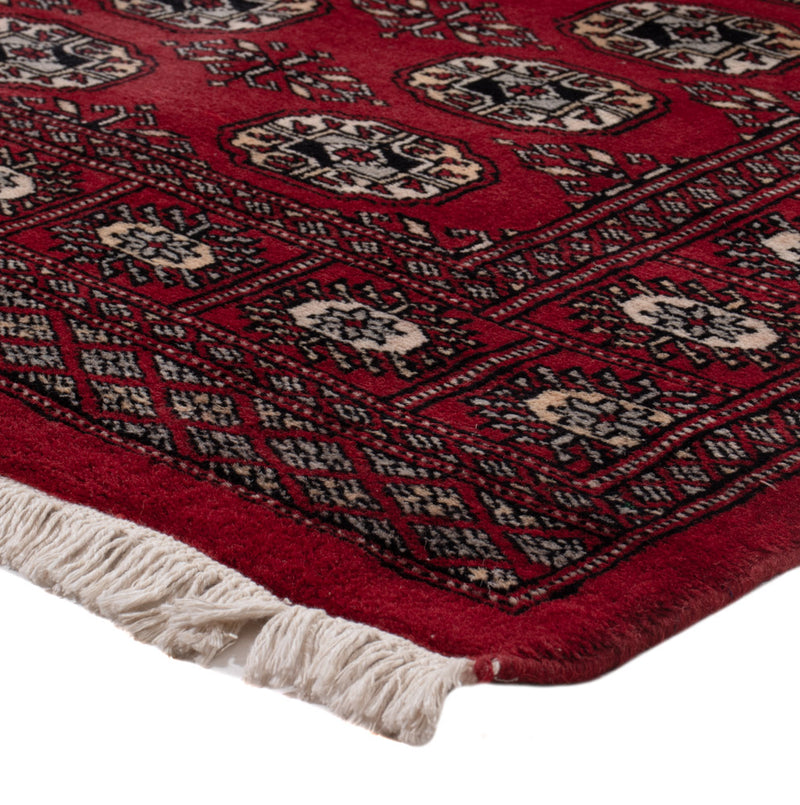 Tappeto Pakistani - 154 x 93 cm - rosso