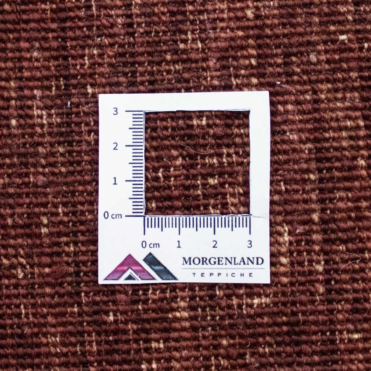 Tappeto Ziegler - 237 x 172 cm - colorato