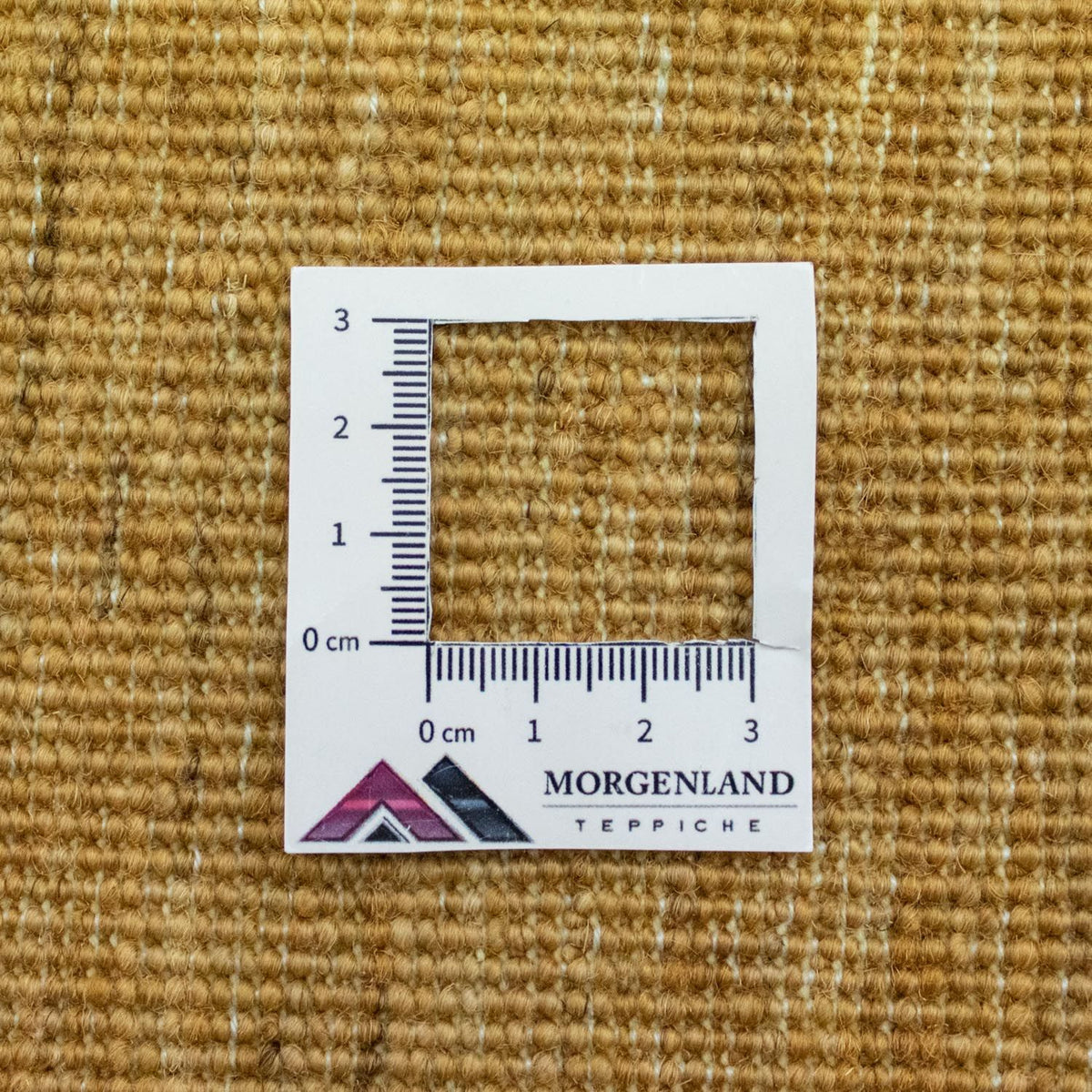 Tappeto Ziegler - 207 x 150 cm - colorato