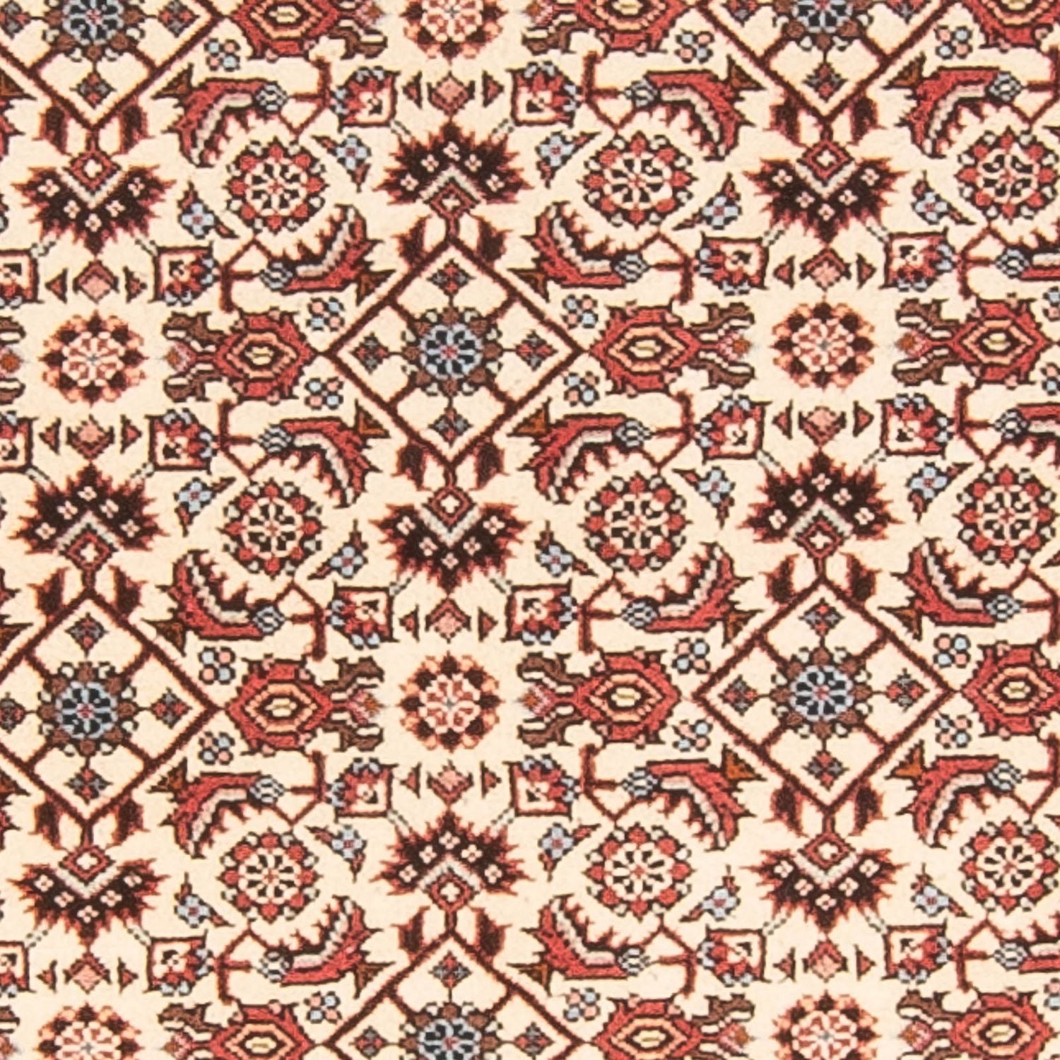 Tappeto corsia Tappeto Persero - Bidjar - 254 x 86 cm - beige