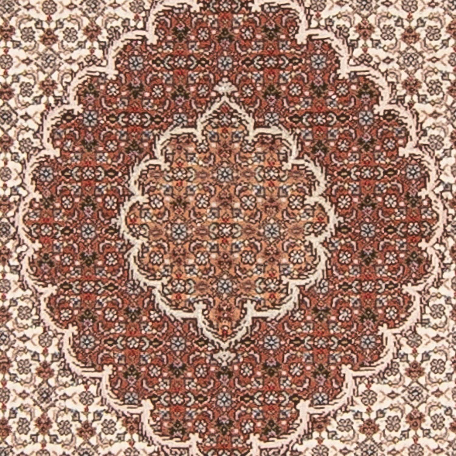 Tappeto corsia Tappeto Persero - Tabriz - Reale - 212 x 82 cm - beige