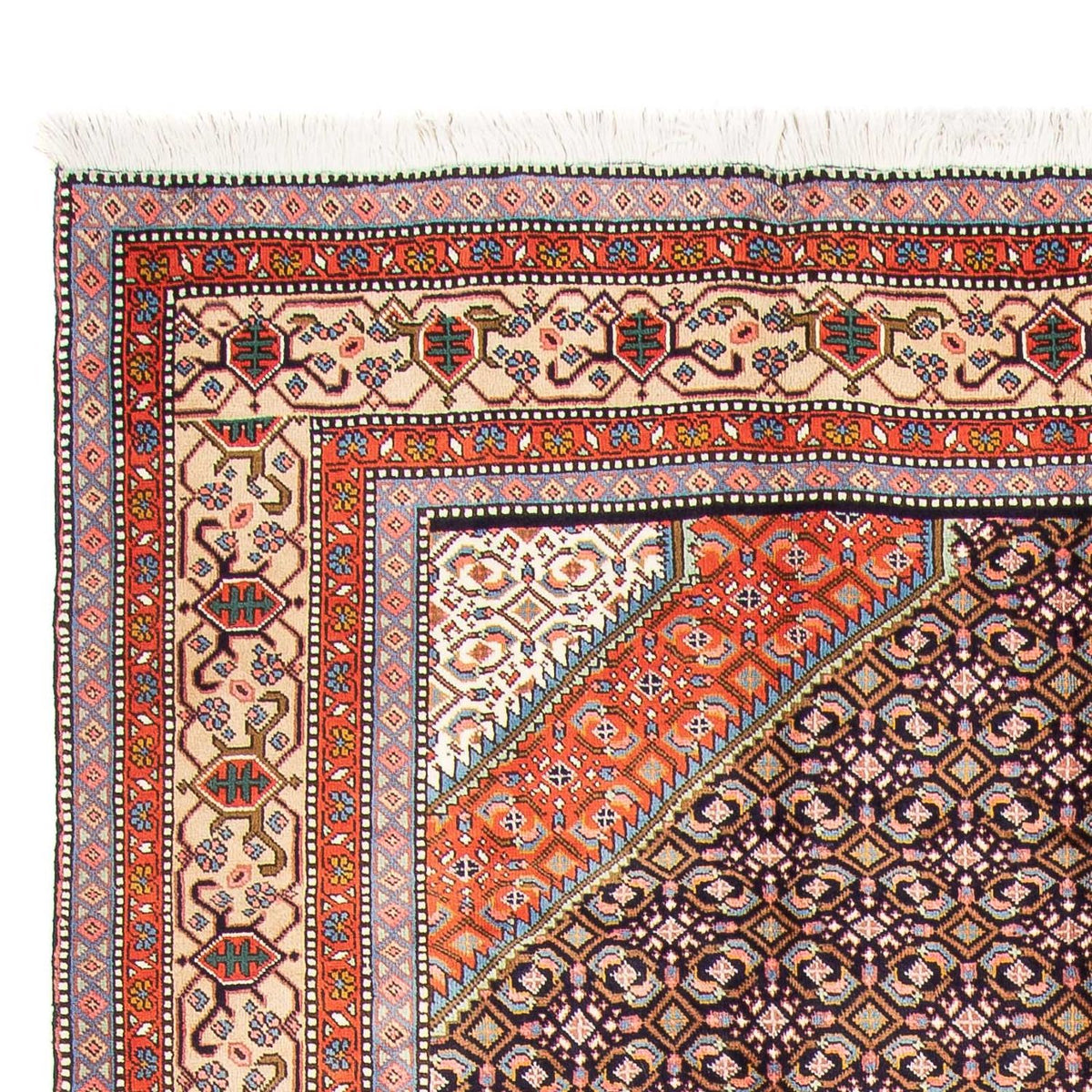 Tabriz Tappeto 208x276cm - Tappeto persiano