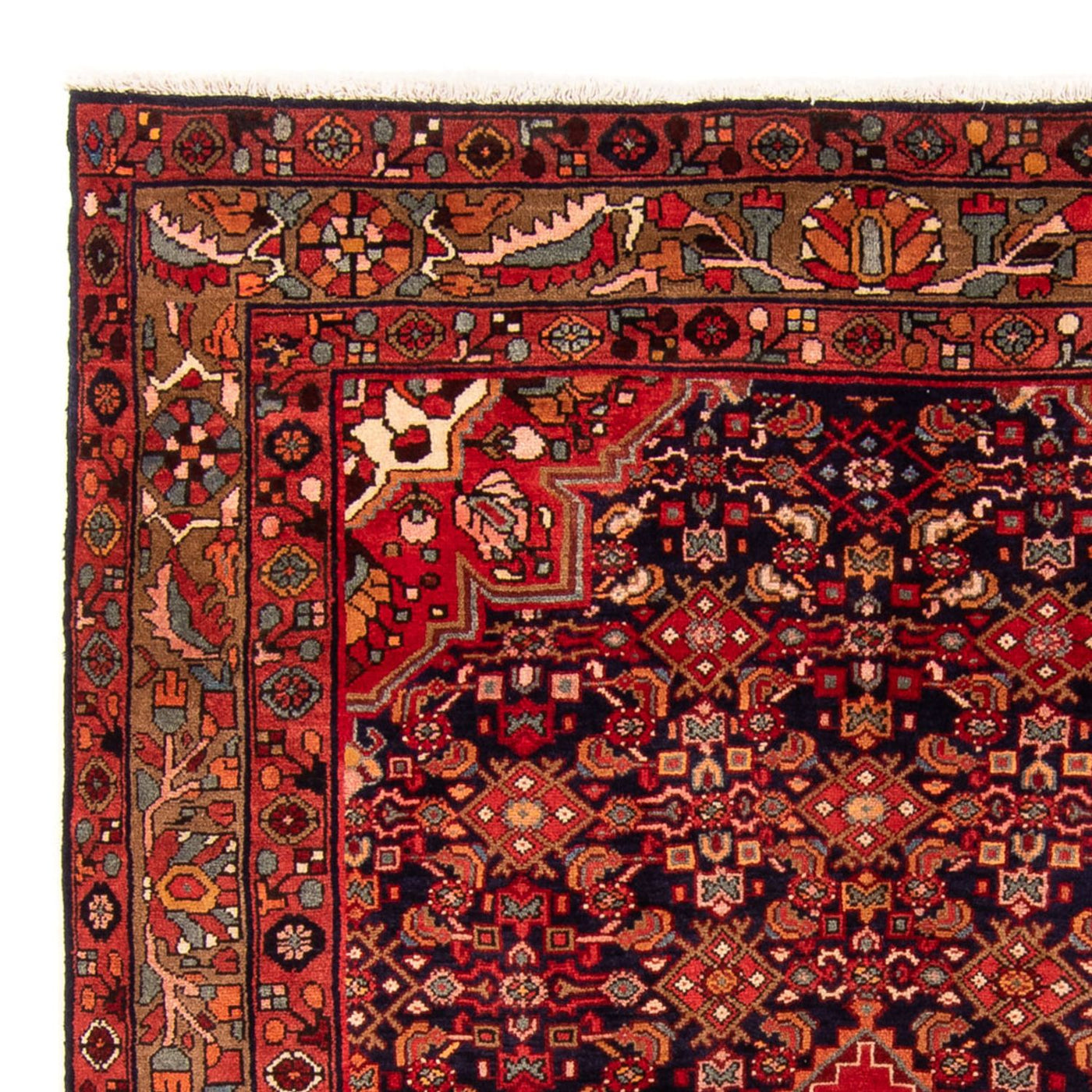 Malayer Tappeto 243x165cm - Tappeto persiano