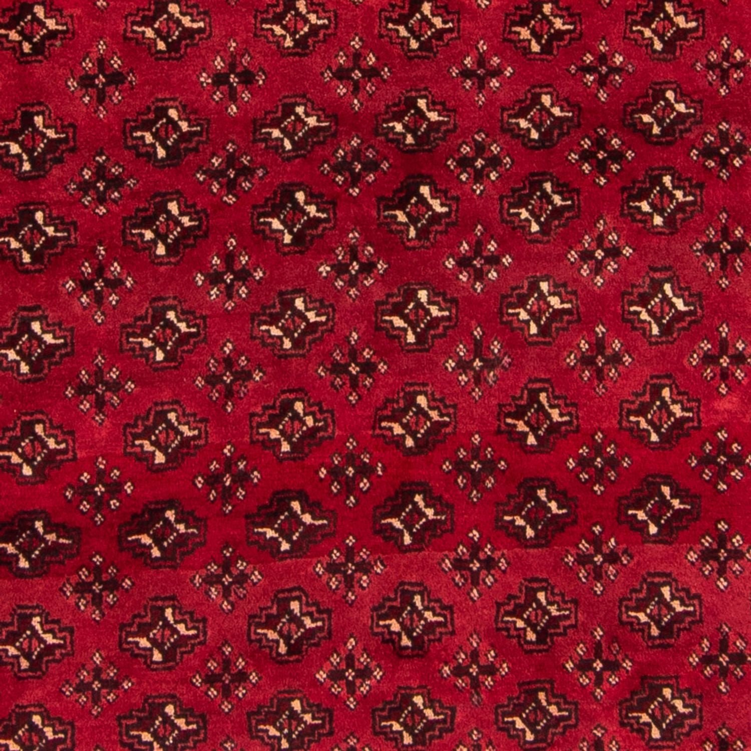 Tappeto Turkaman - 239 x 130 cm - rosso