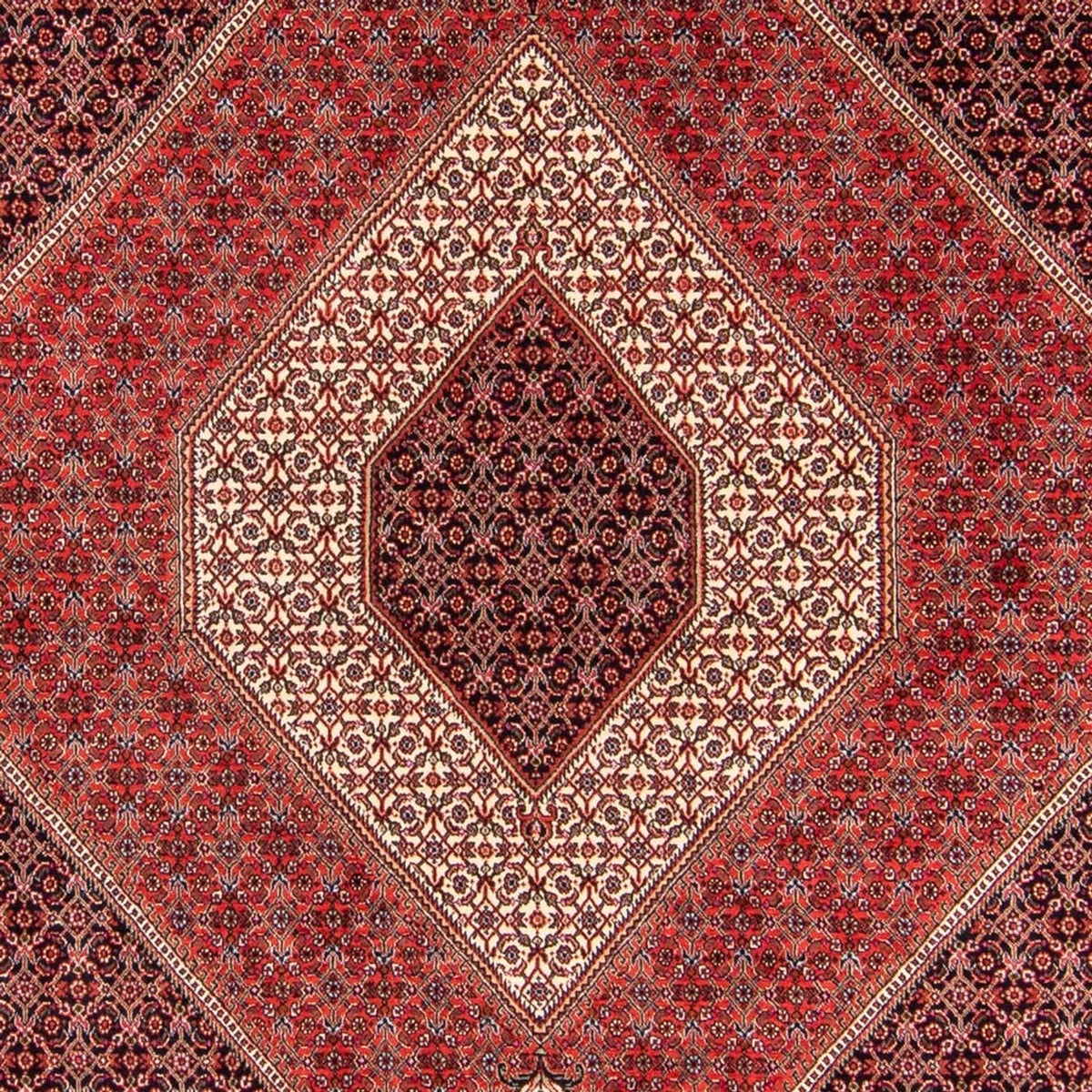 Tappeto Persero - Bidjar - 240 x 175 cm - rosso