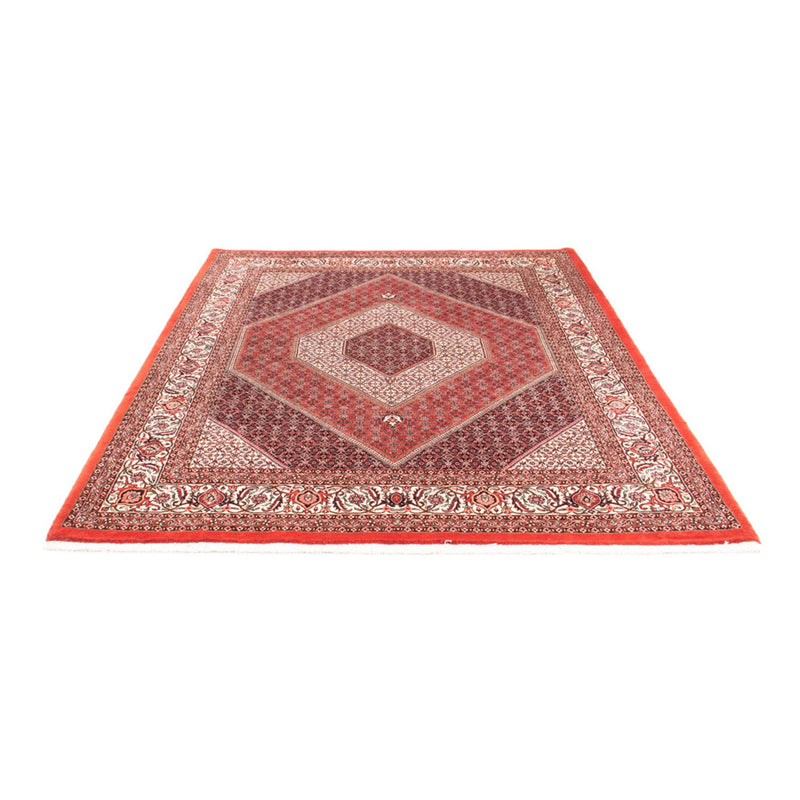 Tappeto Persero - Bidjar - 240 x 175 cm - rosso