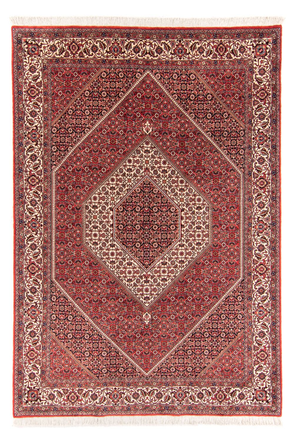 Tappeto Persero - Bidjar - 252 x 174 cm - rosso