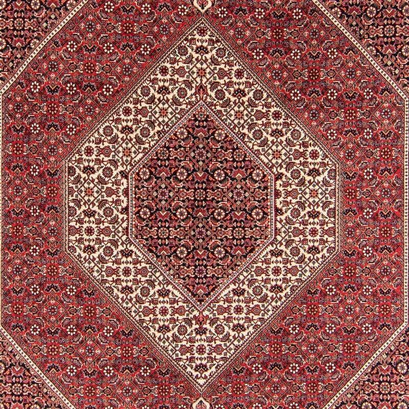 Tappeto Persero - Bidjar - 252 x 174 cm - rosso