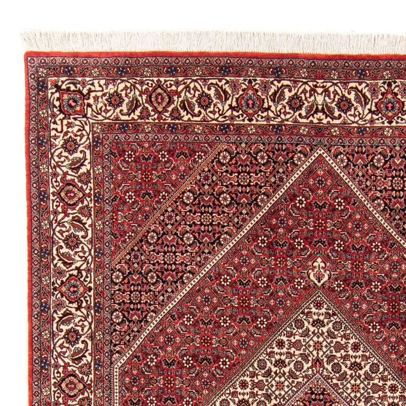 Tappeto Persero - Bidjar - 252 x 174 cm - rosso